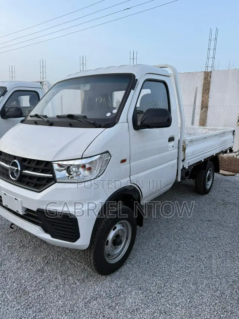 Mini Truck