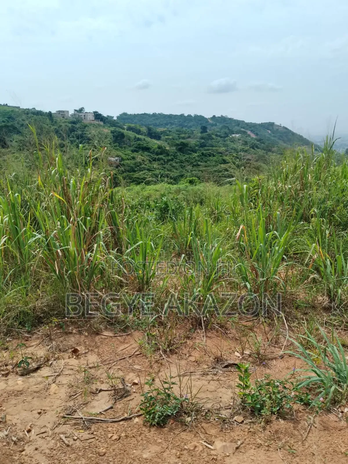 0.22 Acre Land for Sale at Borteymam