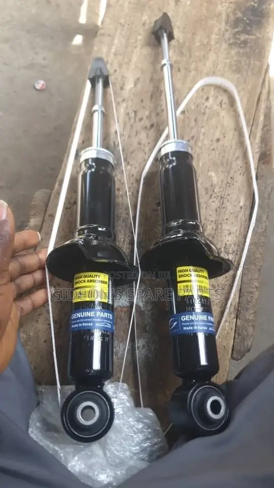 Outlander 2016 Back Shock Absorbers