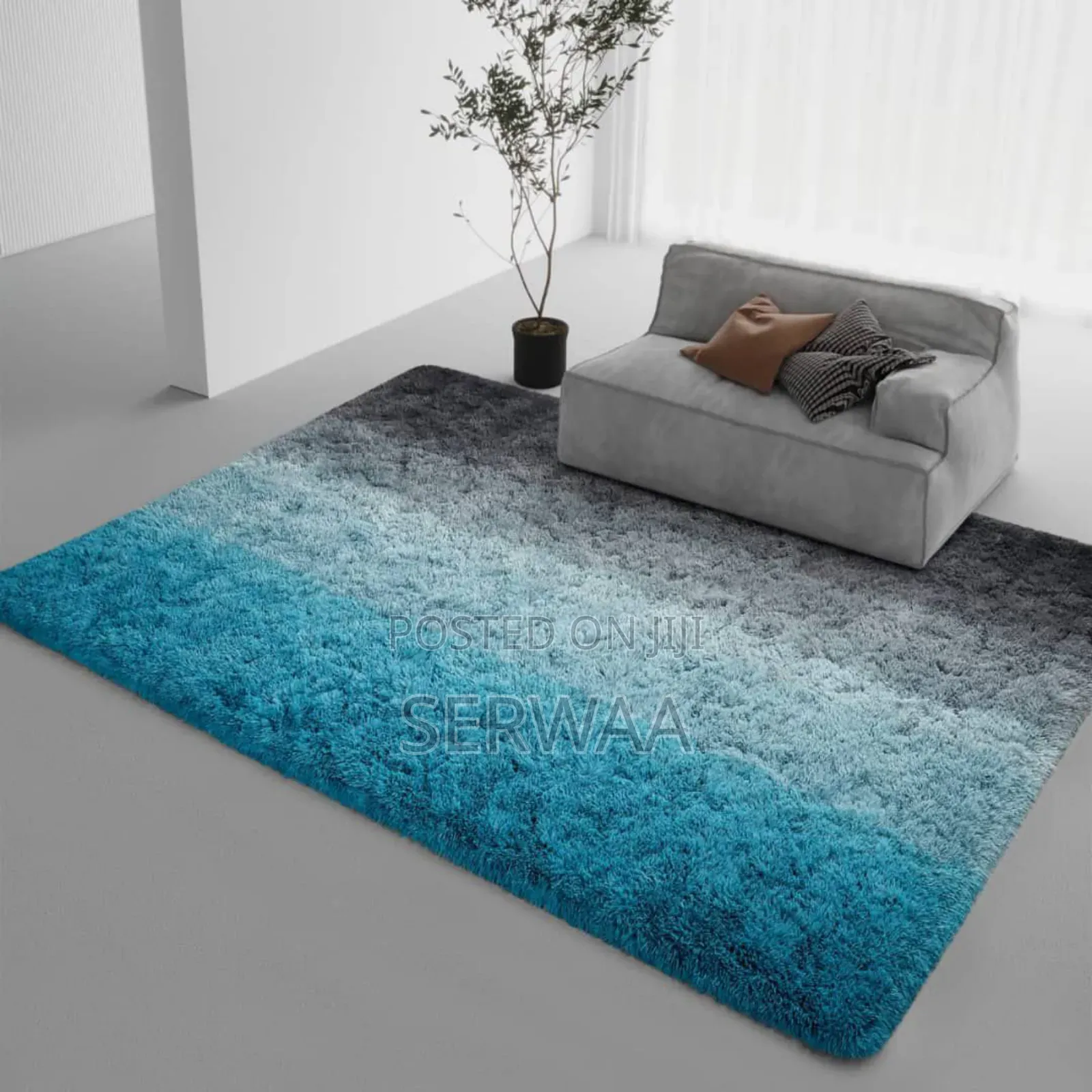 Heavy Fluffy Carpet