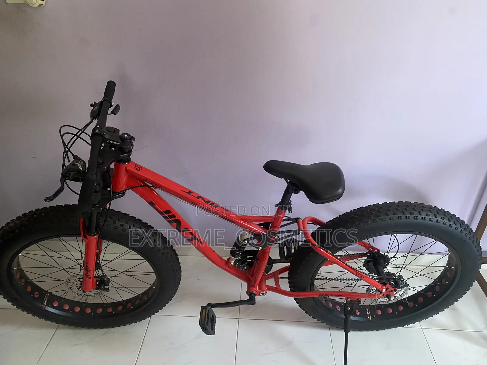 Ben Rors Mountain Fat Tyre Bike