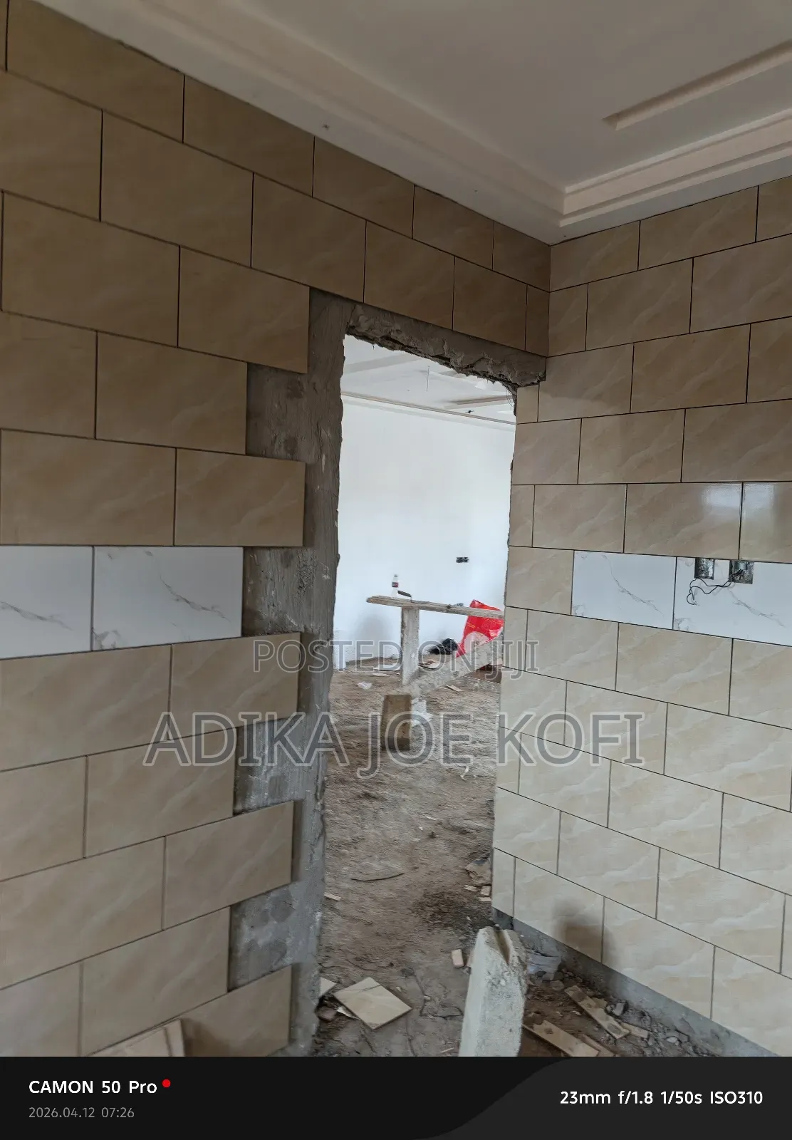 Professional Tiler