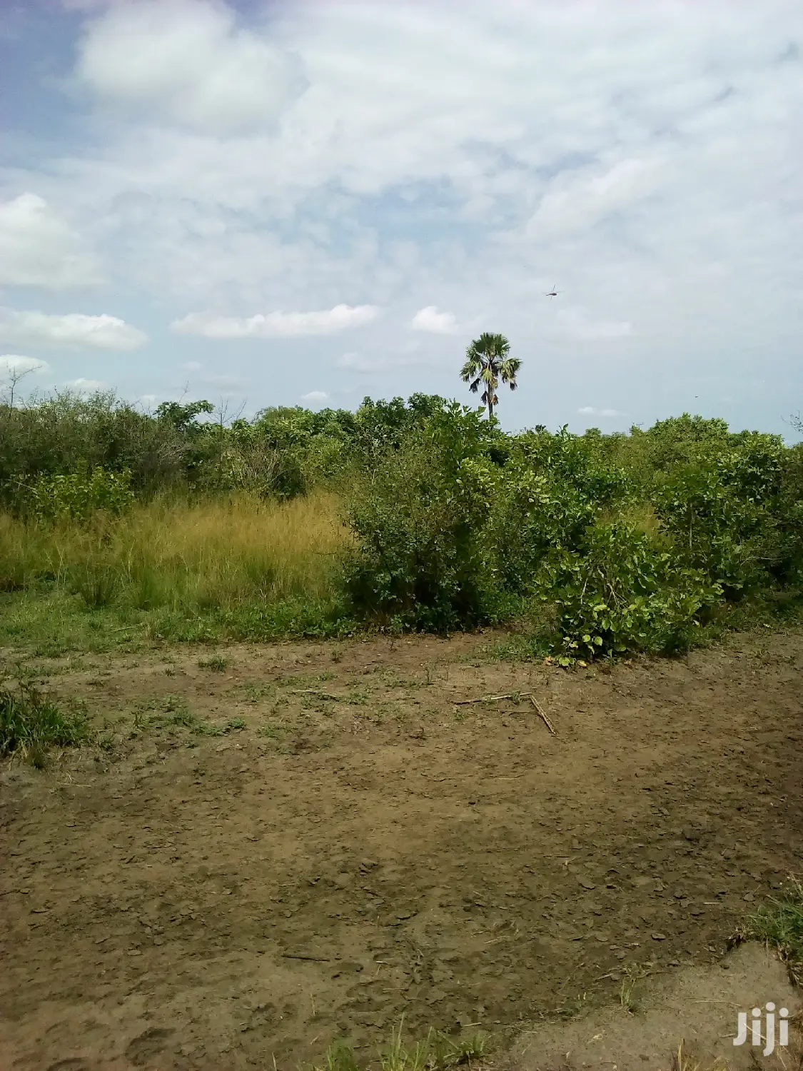 20.000 Acres of Farm Land for Sale