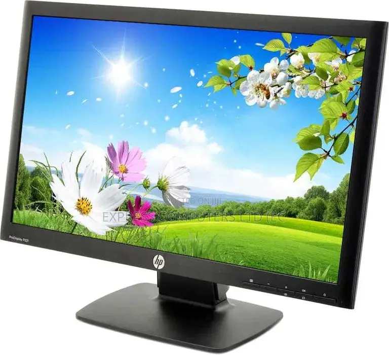Hp Prodisplay - 22 Inch Led Monitor - Full Hd (1080p) Uk Pre Owned