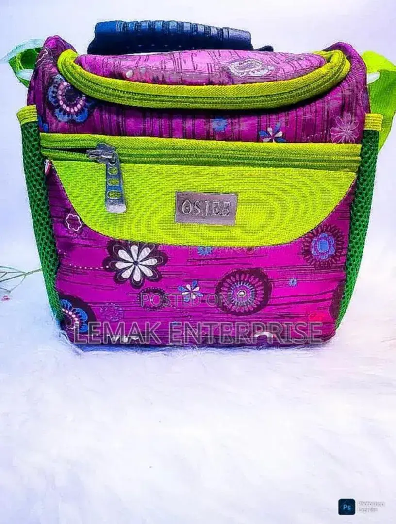 Lunch Bag (Lnsulated )