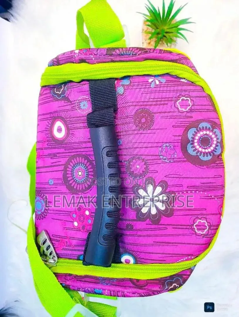 Lunch Bag (Lnsulated )