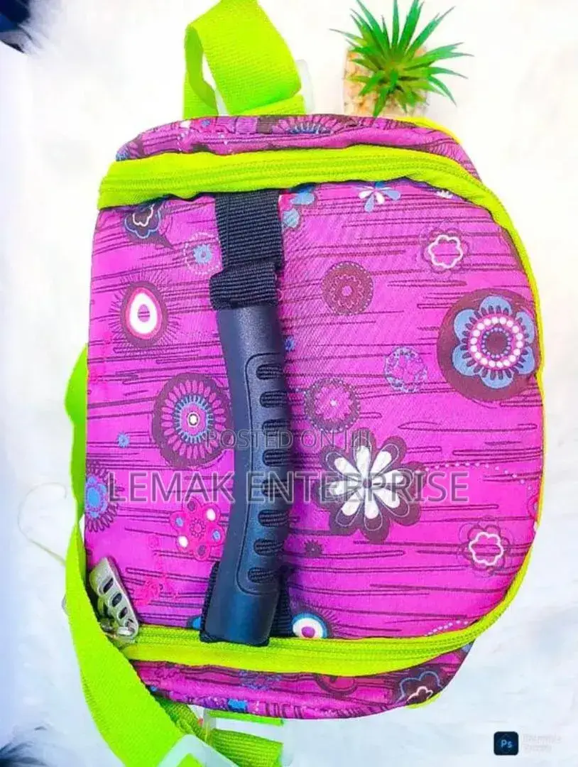 Lunch Bag (Lnsulated )