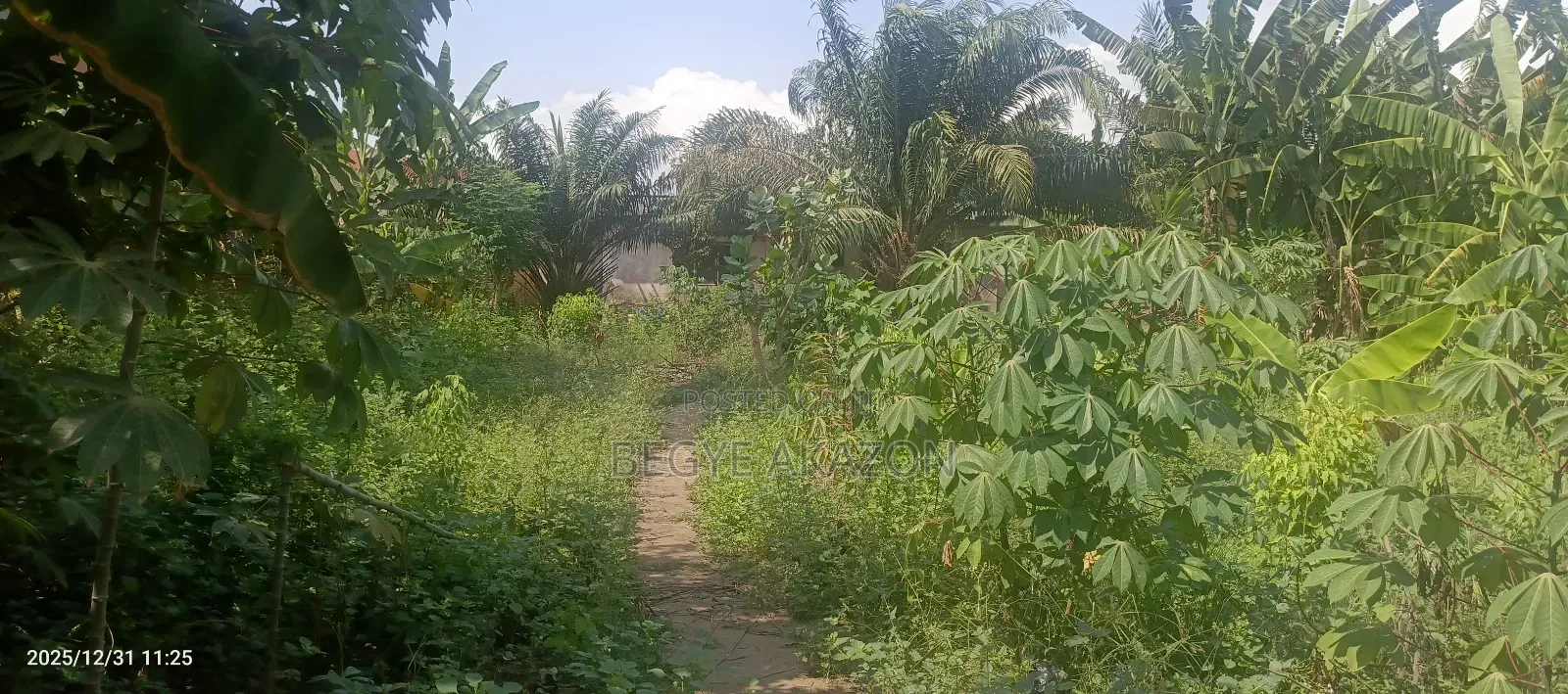 12 Acre Land for Sale at Ayi Mensah
