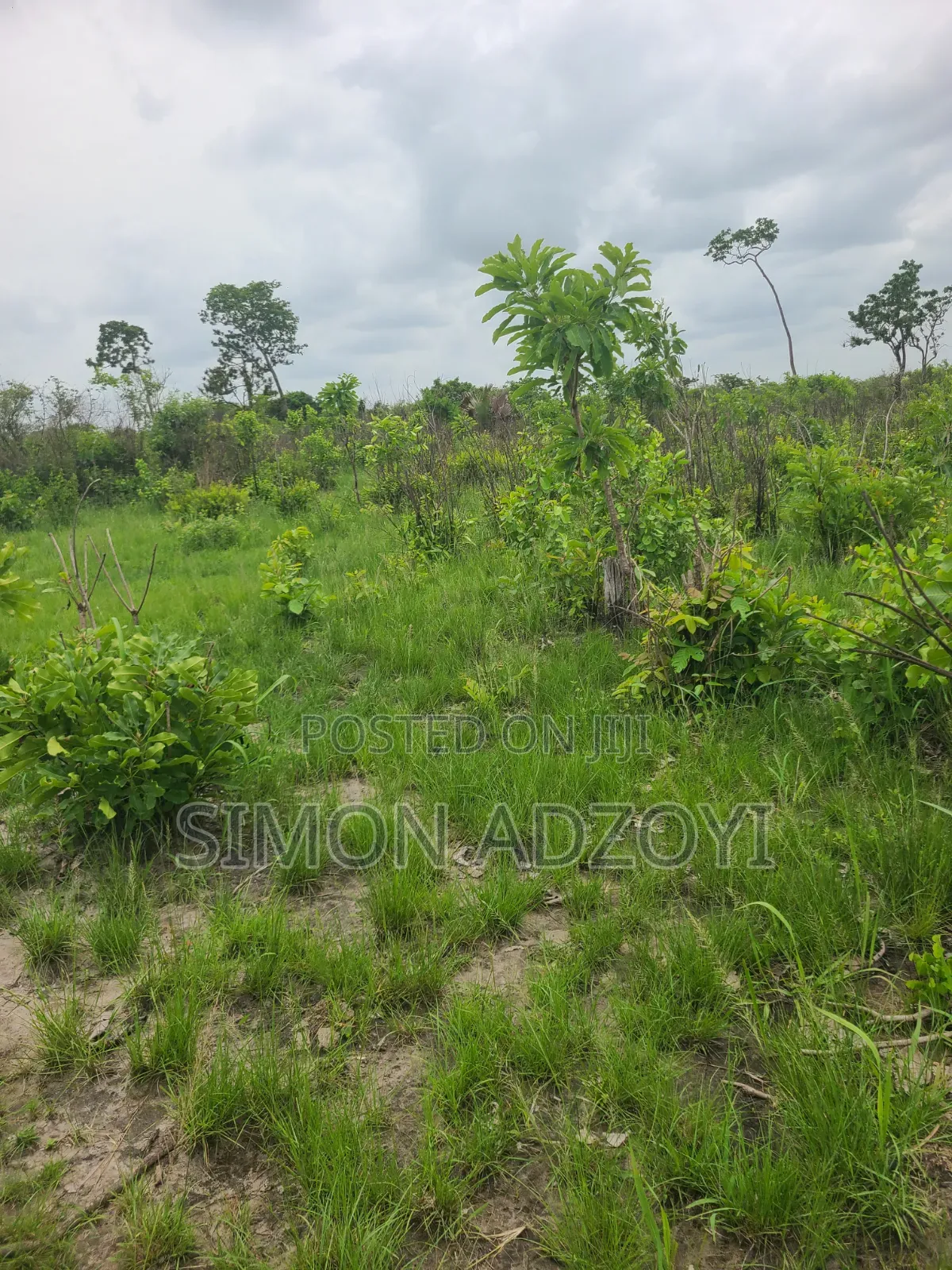 2000 Acres of Farm Land for Long-Term Lease