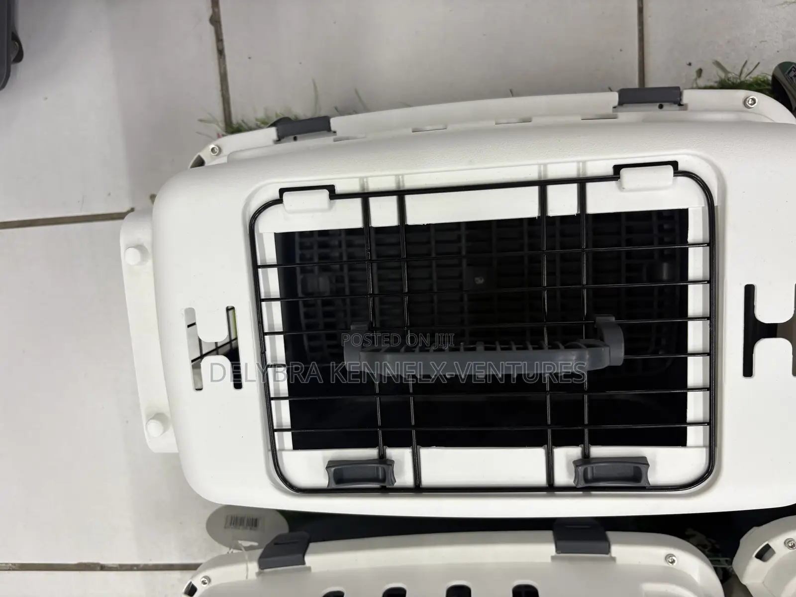 Pet Aviation Box