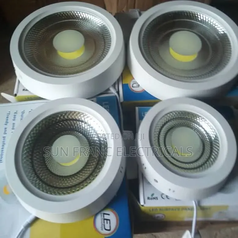 Ceiling Surface Down Light