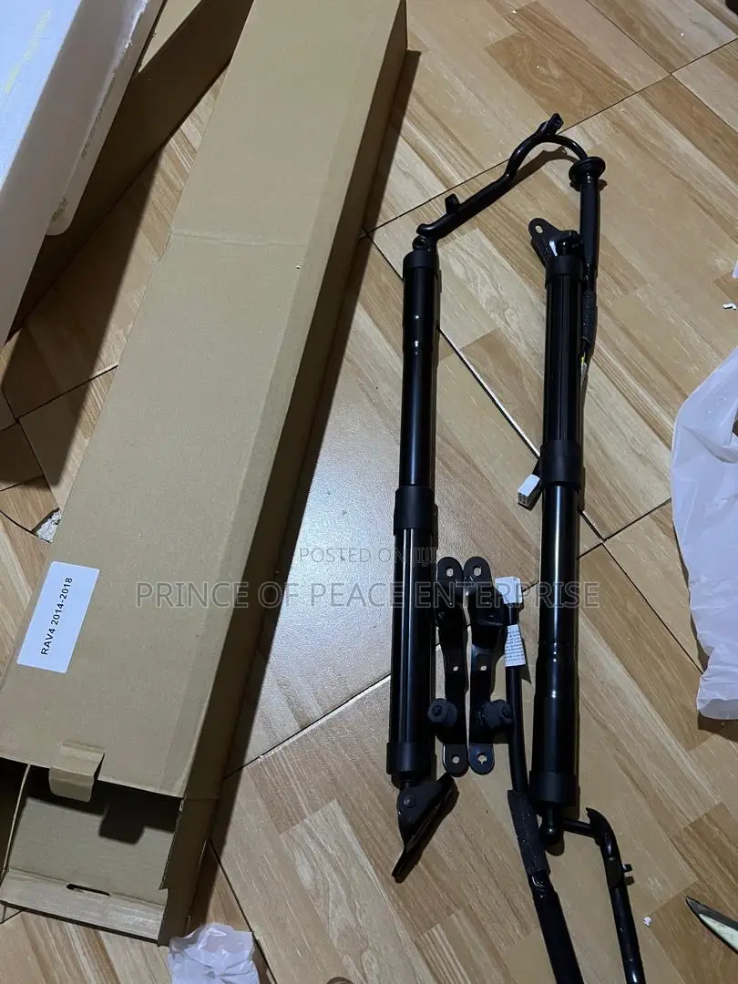 Rav4 2014 2016 2018 Electronic Boot Shocks Pair