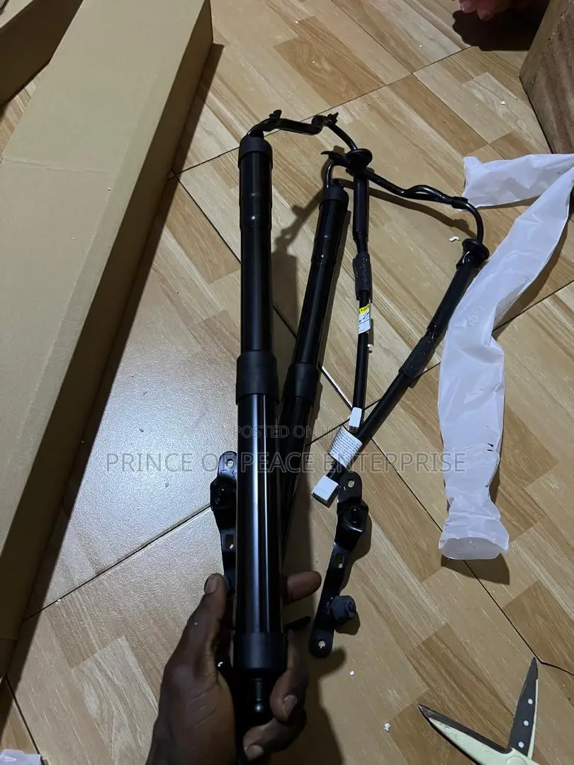 Rav4 2014 2016 2018 Electronic Boot Shocks Pair