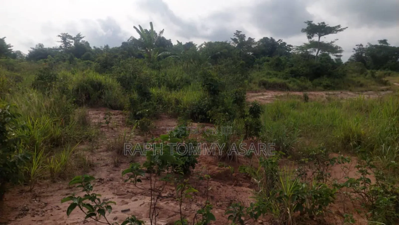 Animal and Crop Farming One and Half Acre Land for Sale