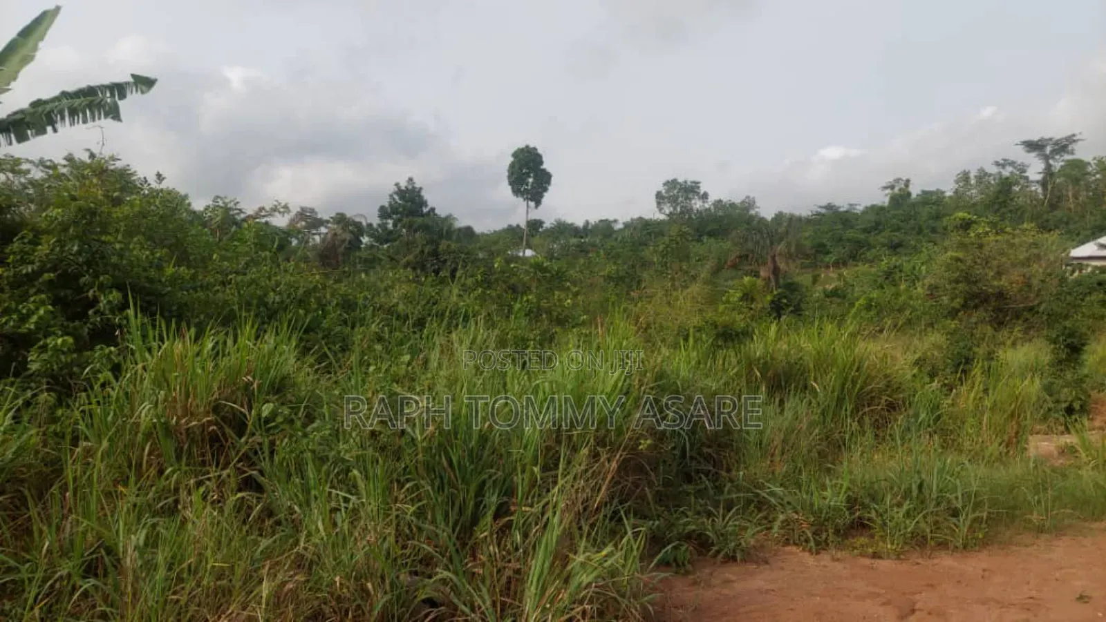 Animal and Crop Farming One and Half Acre Land for Sale