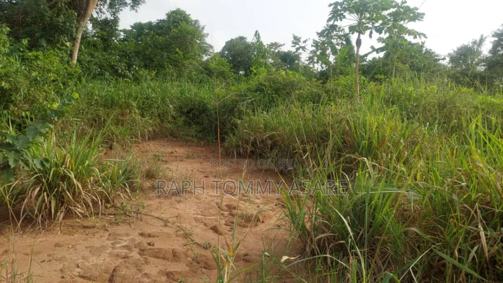 Animal and Crop Farming One and Half Acre Land for Sale