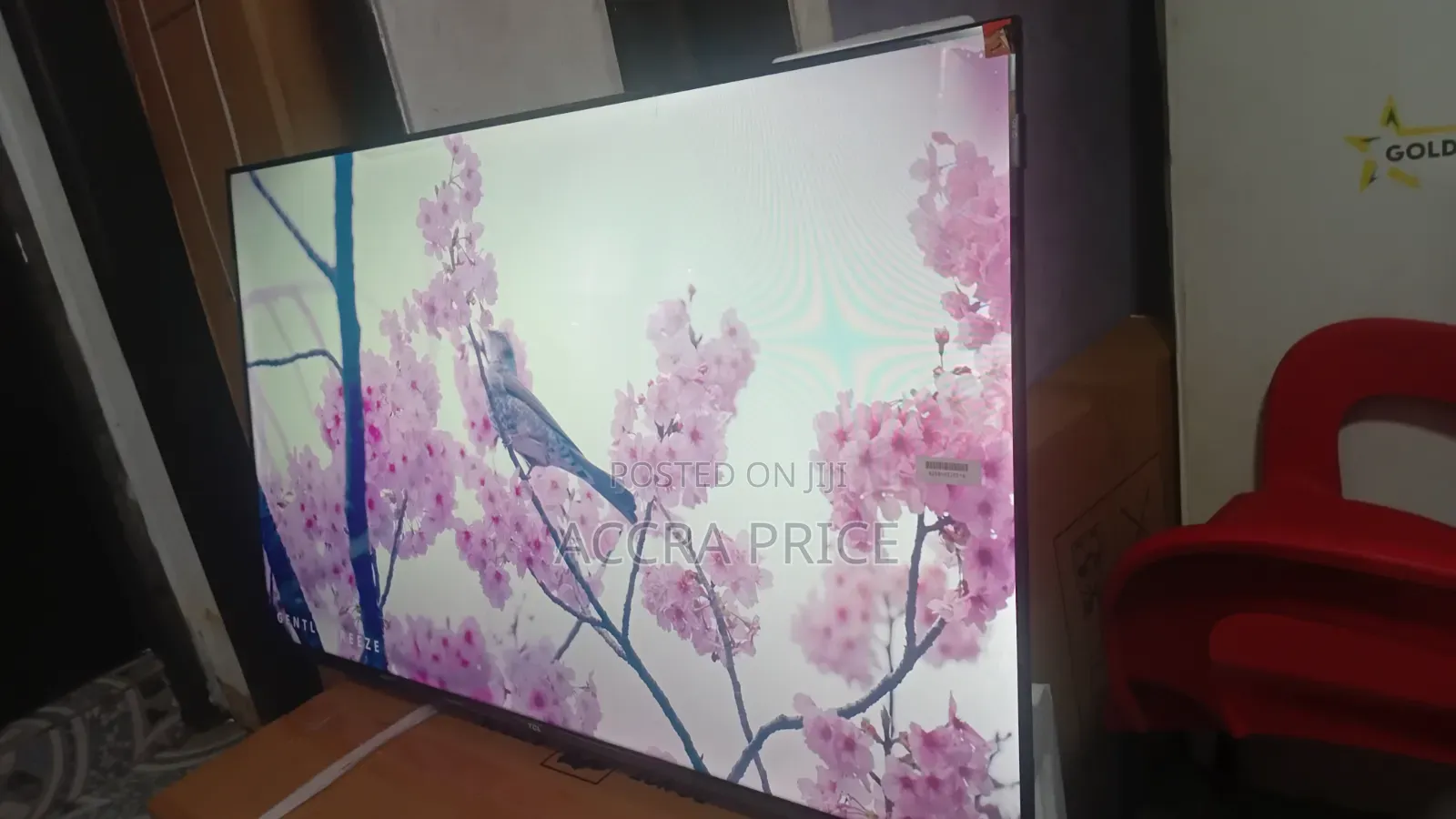 Babes and Dudes Televisions 43inches Smart TCL Televisions