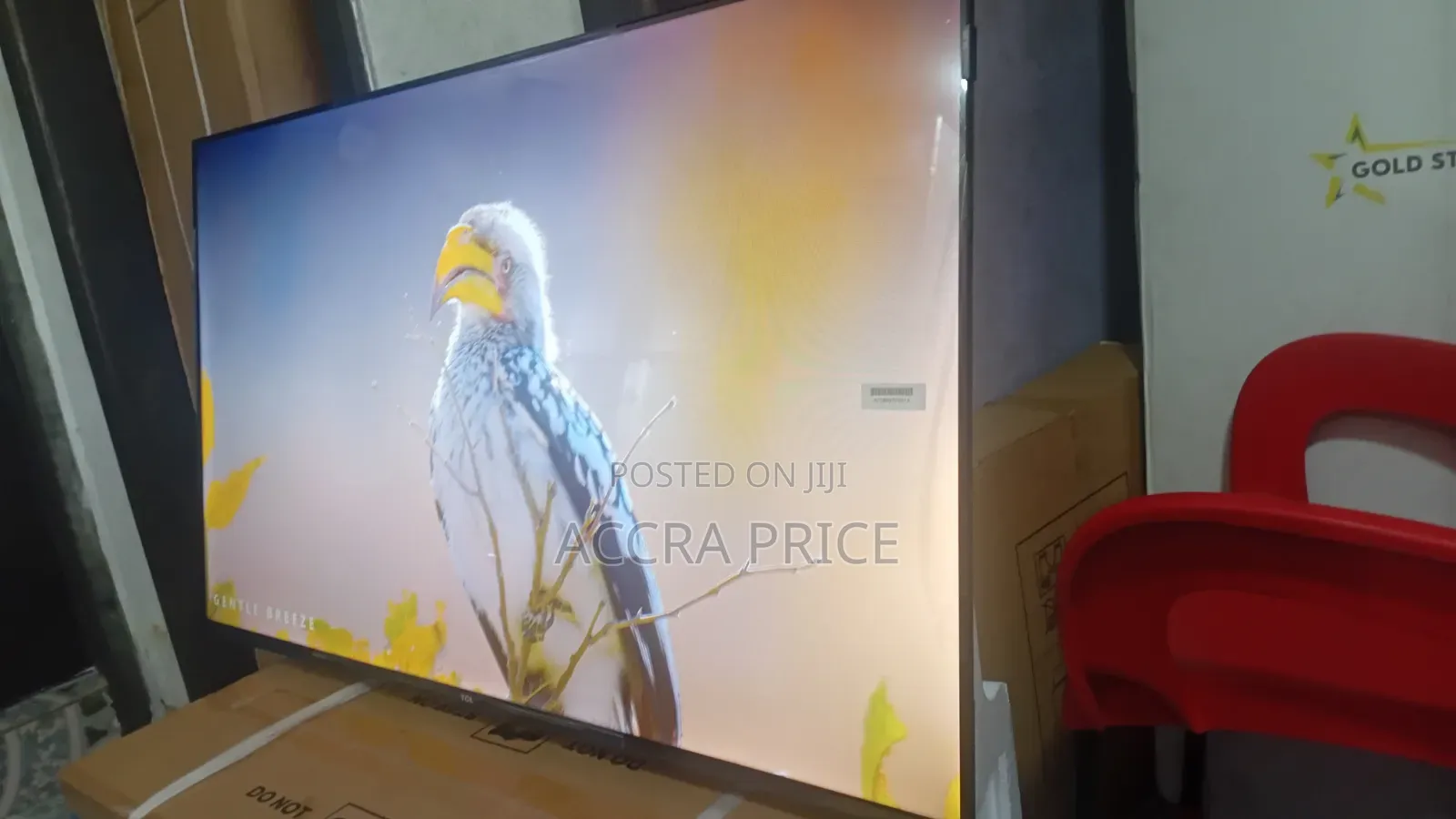 Gentle Zone Television 43inches TCL Smart Televisions