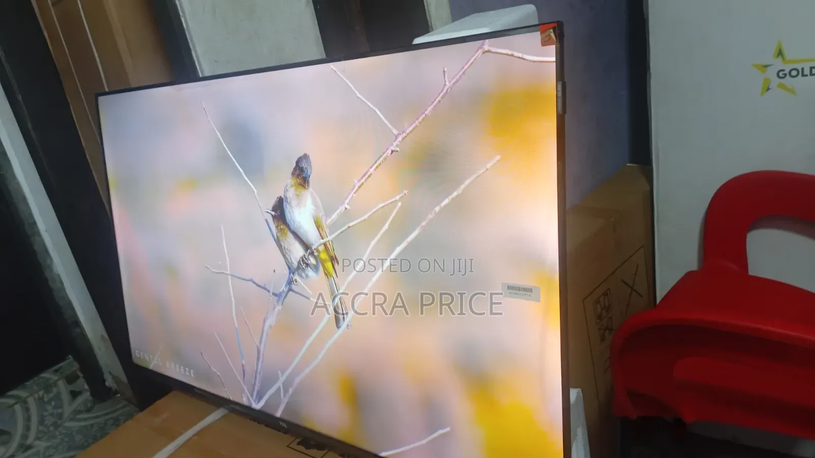 Terry and Berry Televisions 43inches Smart TCL Televisions