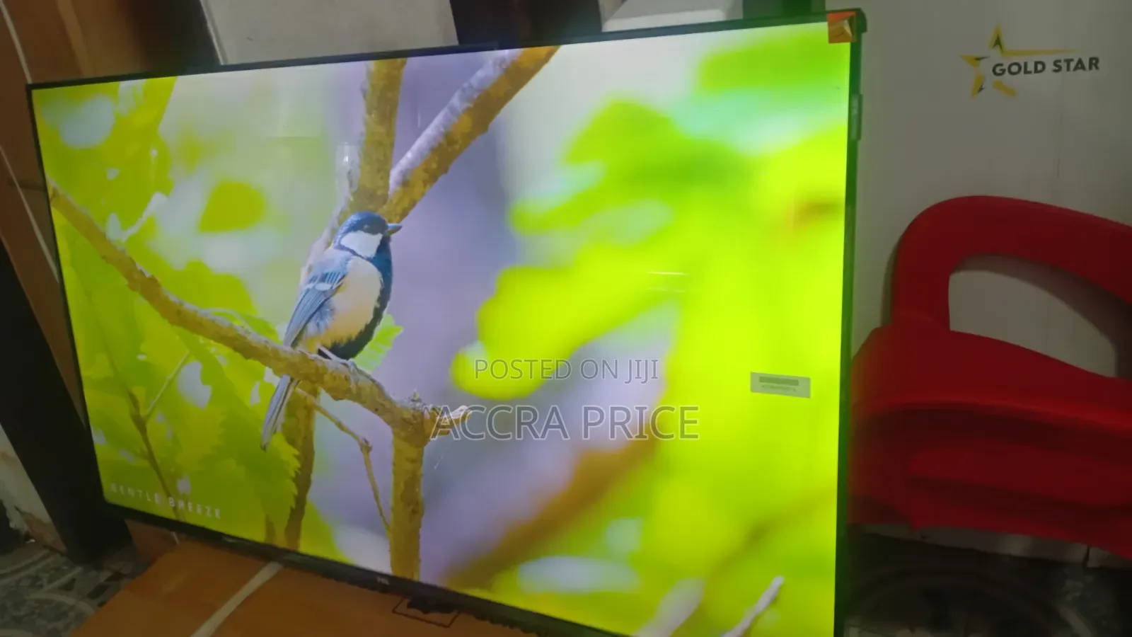 Upper Relief Television 43inches TCL Smart Televisions