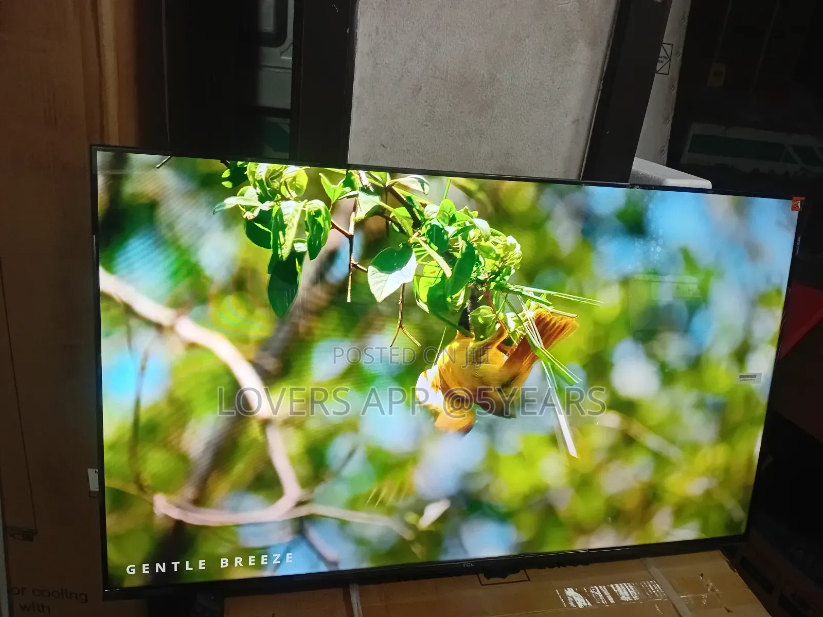 TCL 43 " Smart Qled Google Tv.