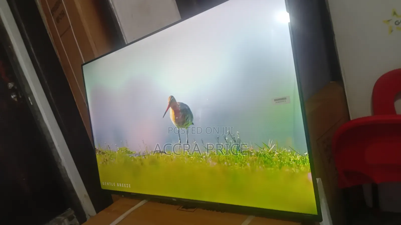 Vision Care Television 43inches TCL Smart Televisions