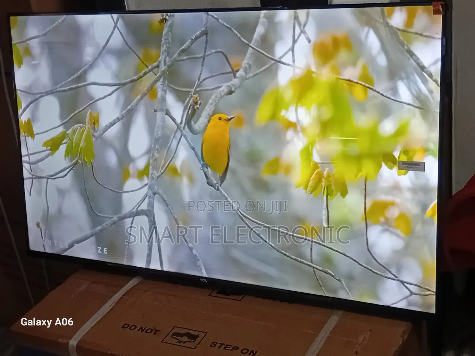 TCL 43-Inch Smart Tv – Perfect for Home Entertainment