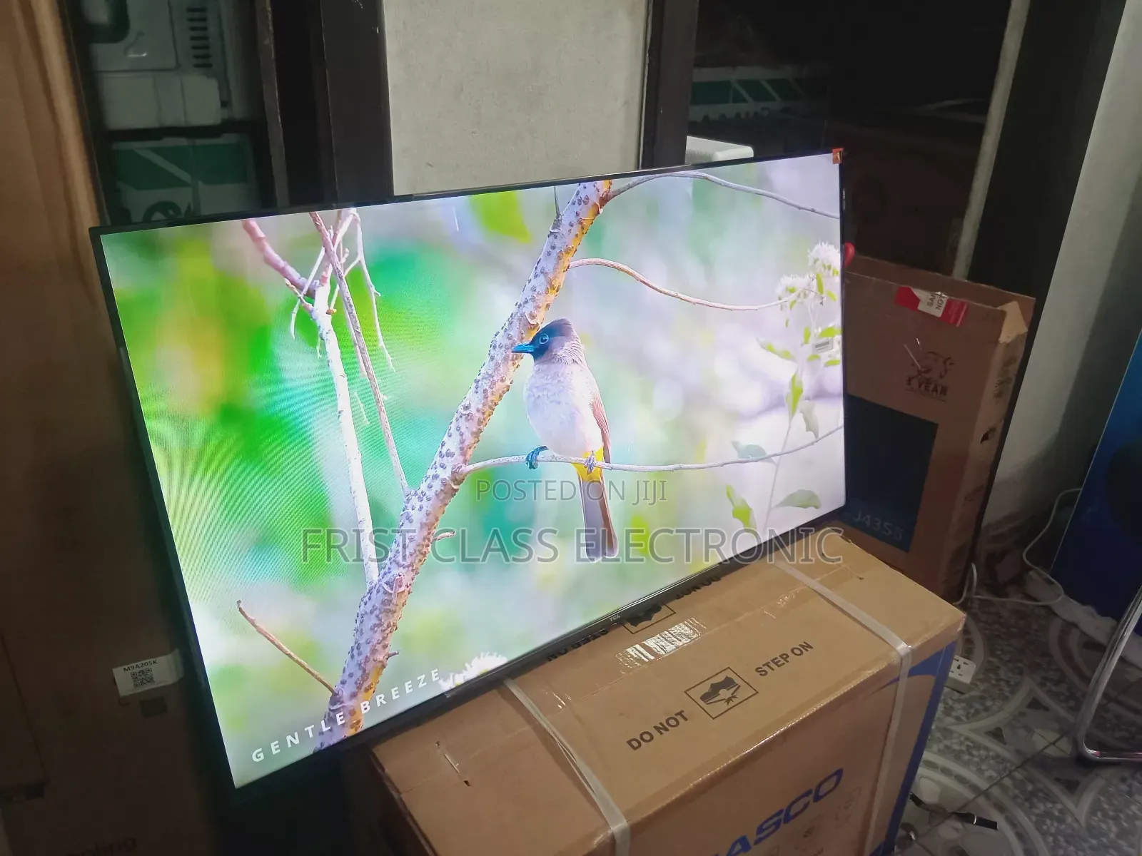 TCL 43-Inch Qled Smarttv, Tv That Turns Walls Into Entertainment Stage