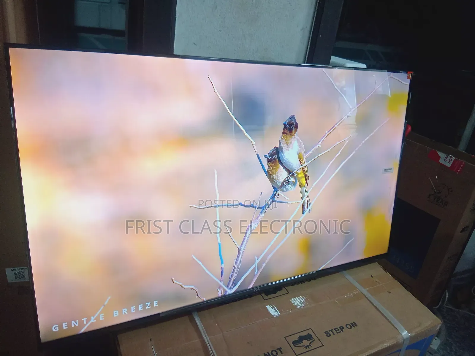 TCL 43-Inch Qled Smarttv, Tv That Turns Walls Into Entertainment Stage