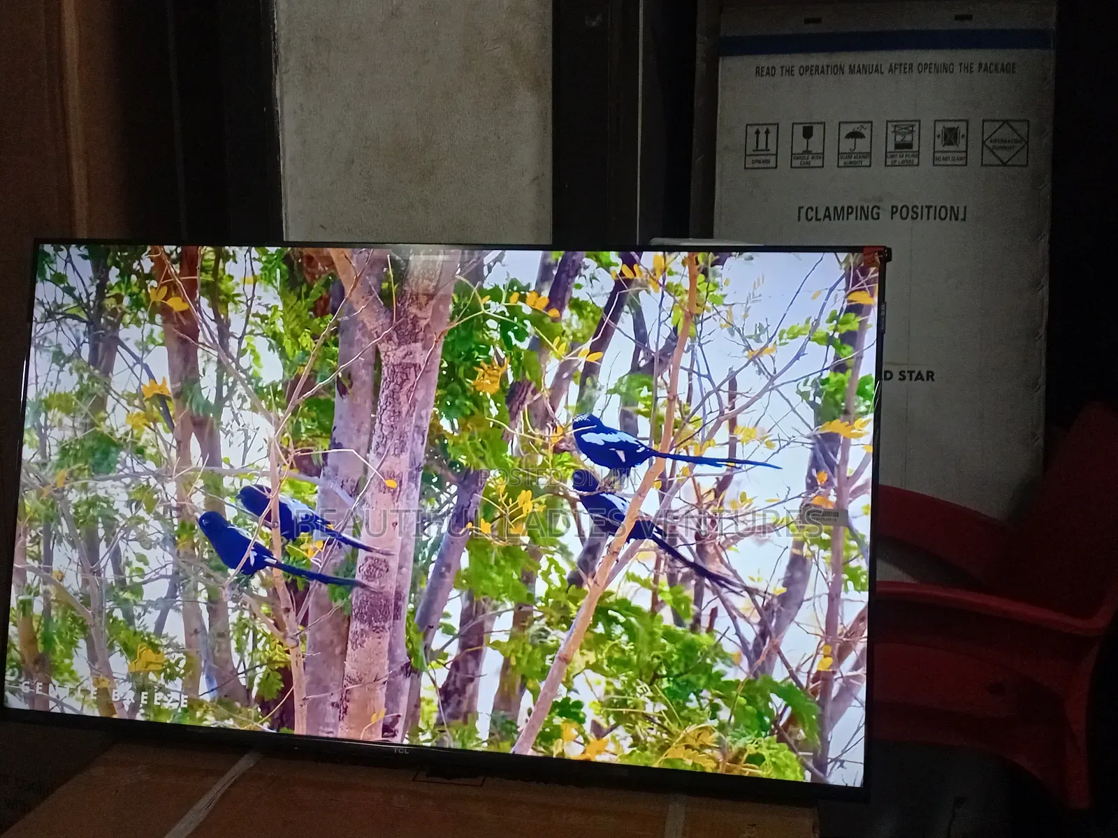 TCL 43” Android Smart Tv – Stream Your Favorites Easily