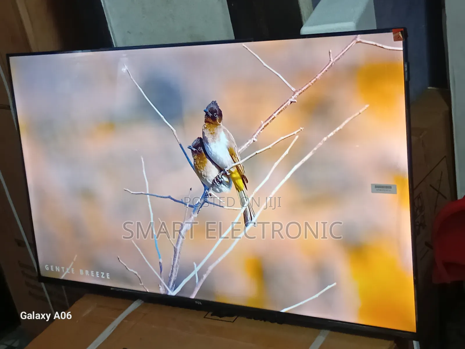 Vivid Display TCL 43-Inch Led Television