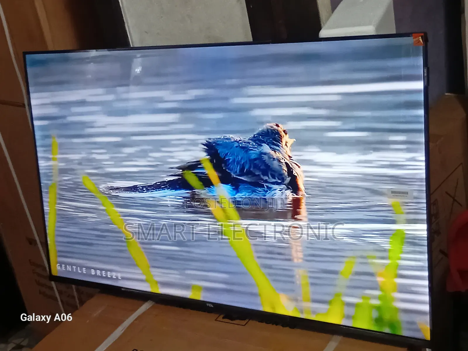 Vivid Display TCL 43-Inch Led Television