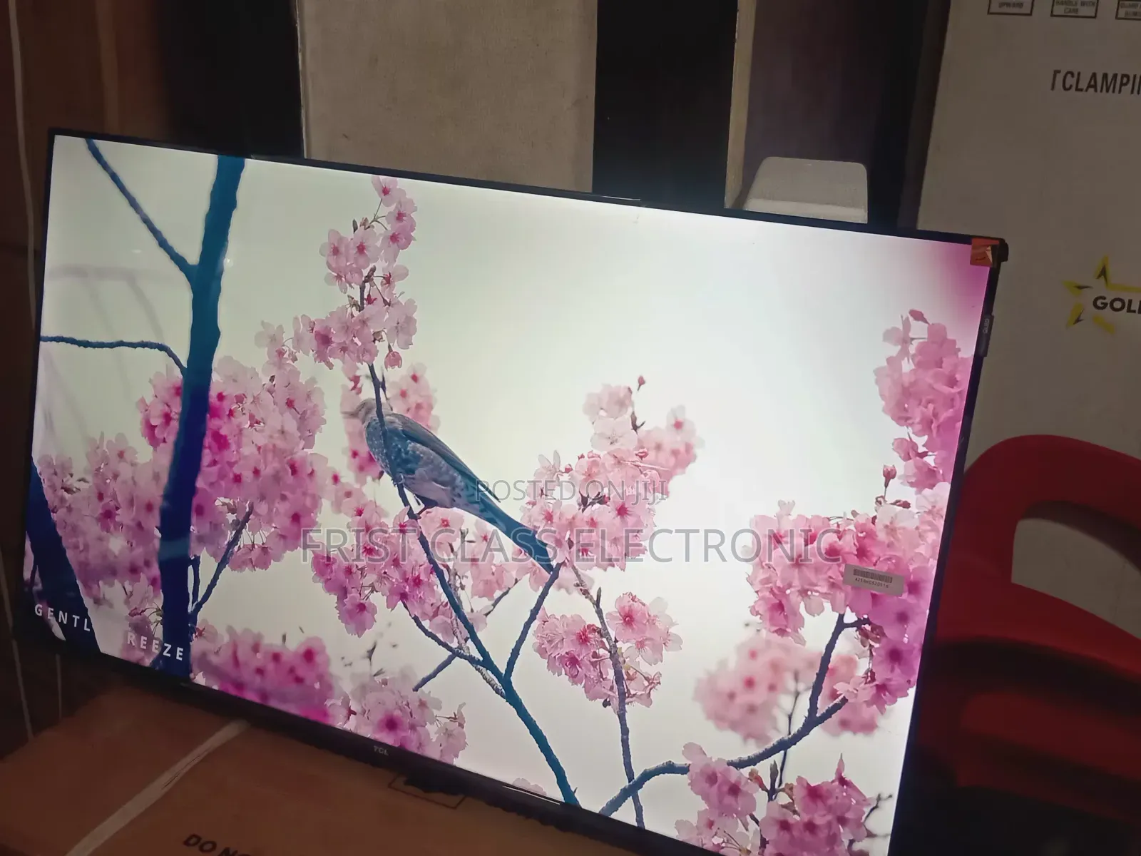 TCL 43-Inch Qled Smart Tv, Tv That Brings Life Into Every Pixel