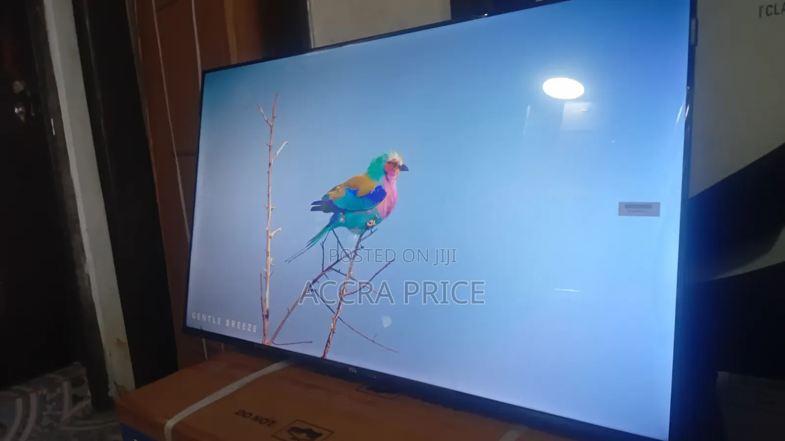 No Dulling Moment Television 43inches TCL Smart Televisions