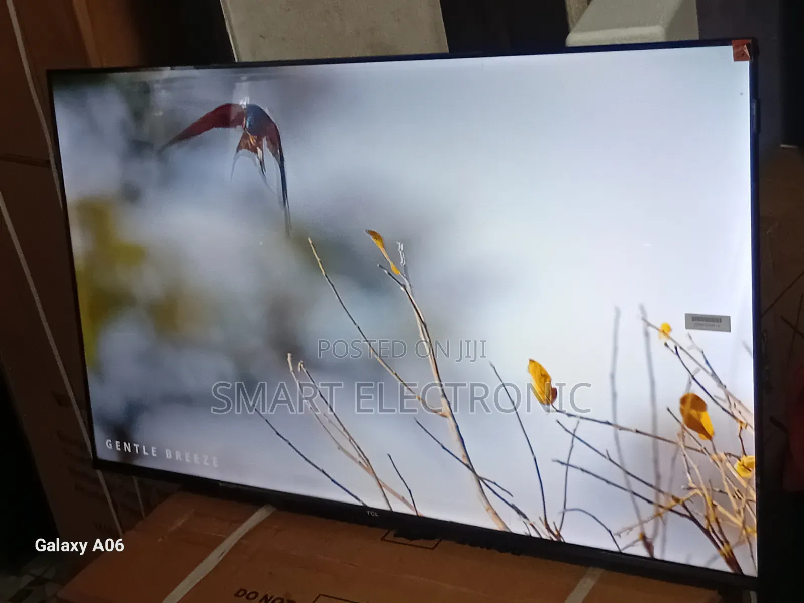 Smart Living Starts With TCL 43-Inch Tv