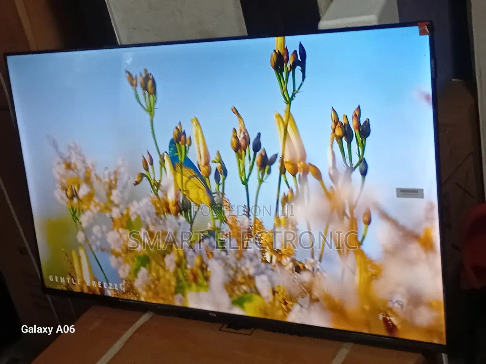Smart Living Starts With TCL 43-Inch Tv