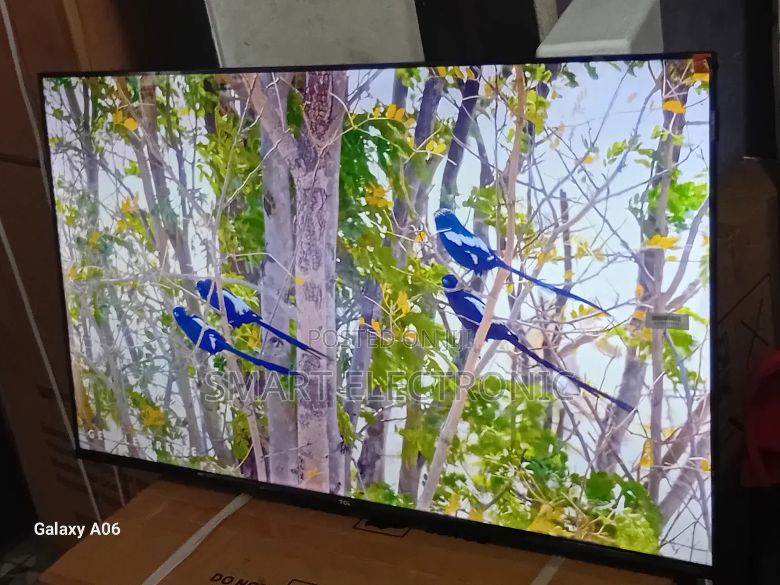 TCL 43-Inch Smart Tv – Modern Design, Powerful Performance