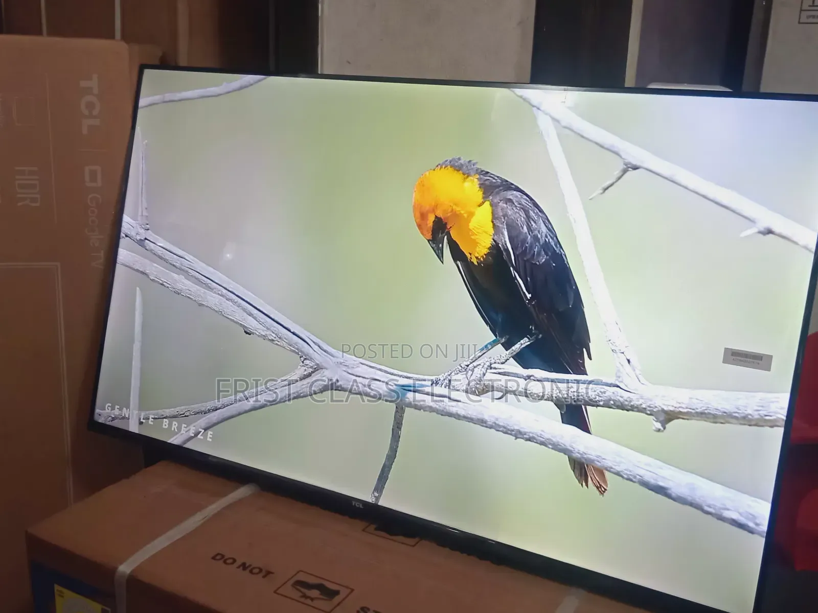 TCL 43-Inch Qled Smart Tv, Tv That Makes Gaming Feel Smoother