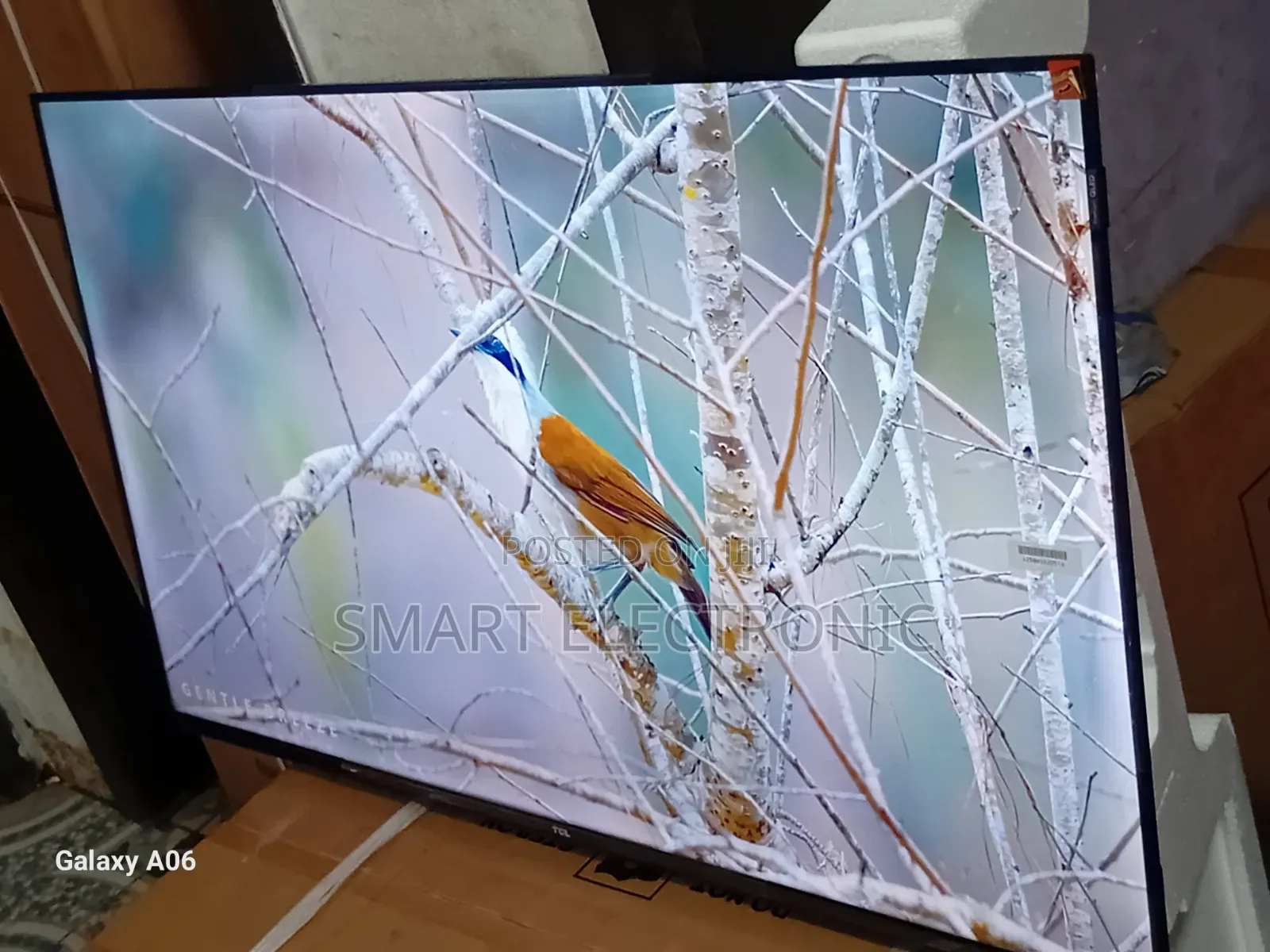 Experience True Clarity With TCL 43-Inch Tv
