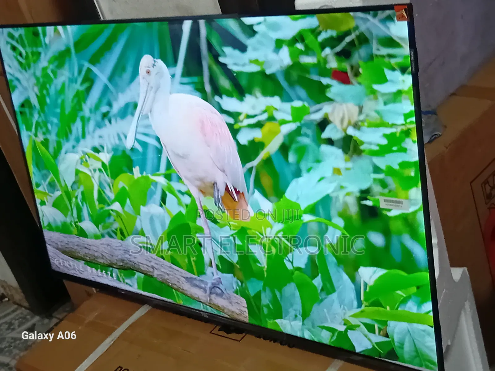 TCL 43-Inch Smart Tv – Built for Entertainment Lovers