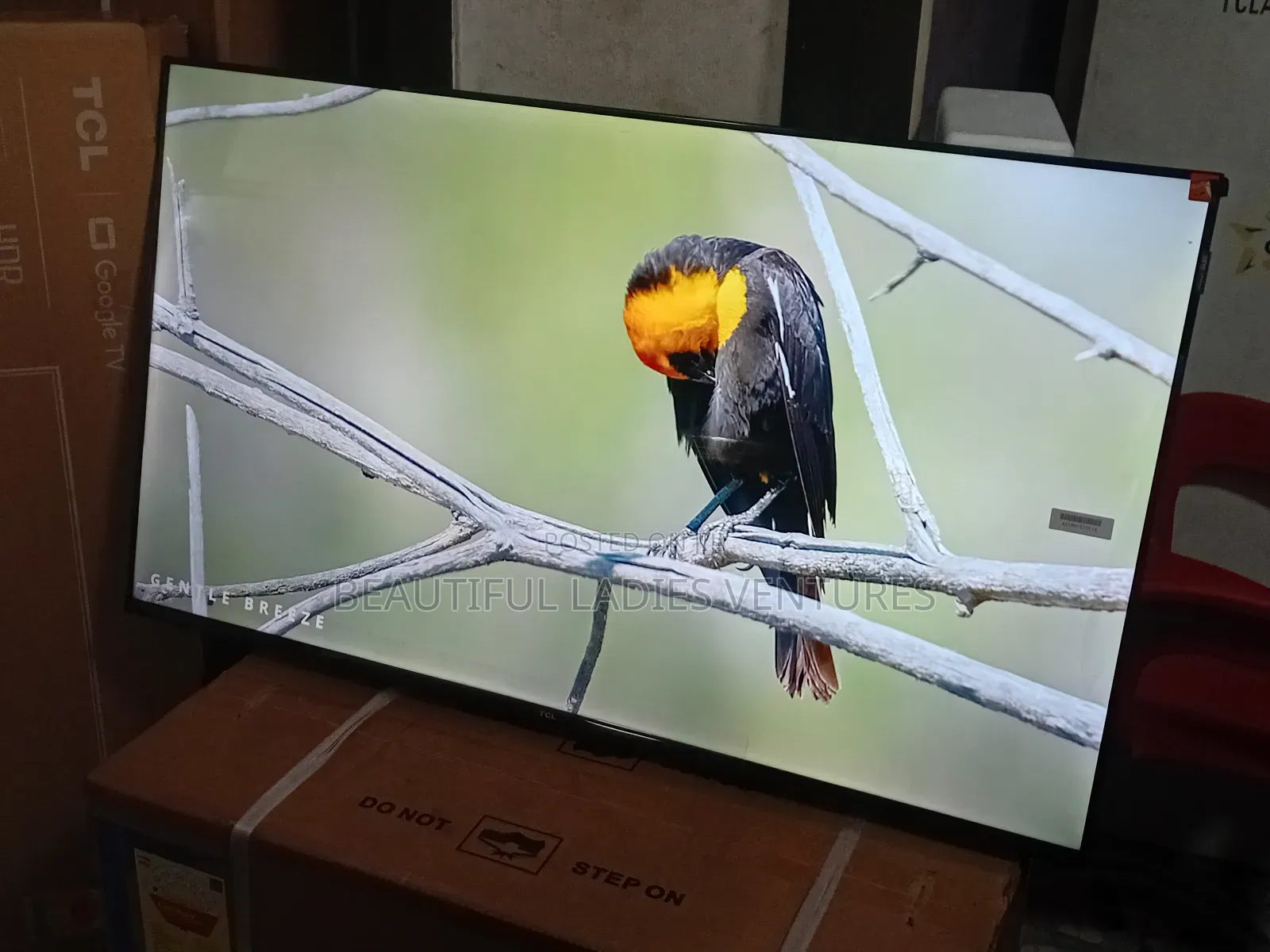 TCL 43” Smart Television – Stream, Watch Enjoy