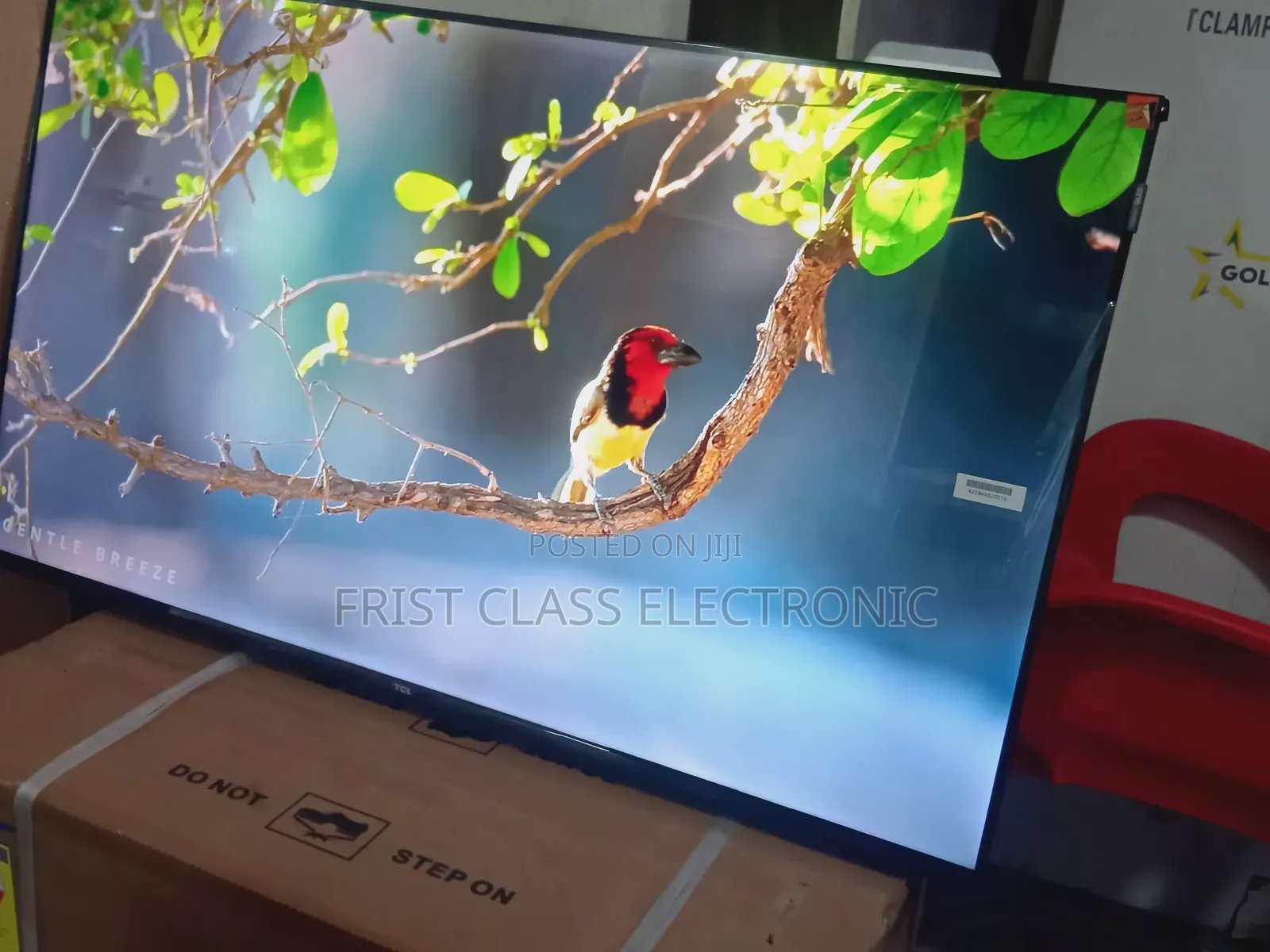 TCL 43-Inch Qled Smart Tv, Tv That Brings Bold Color Energy Home