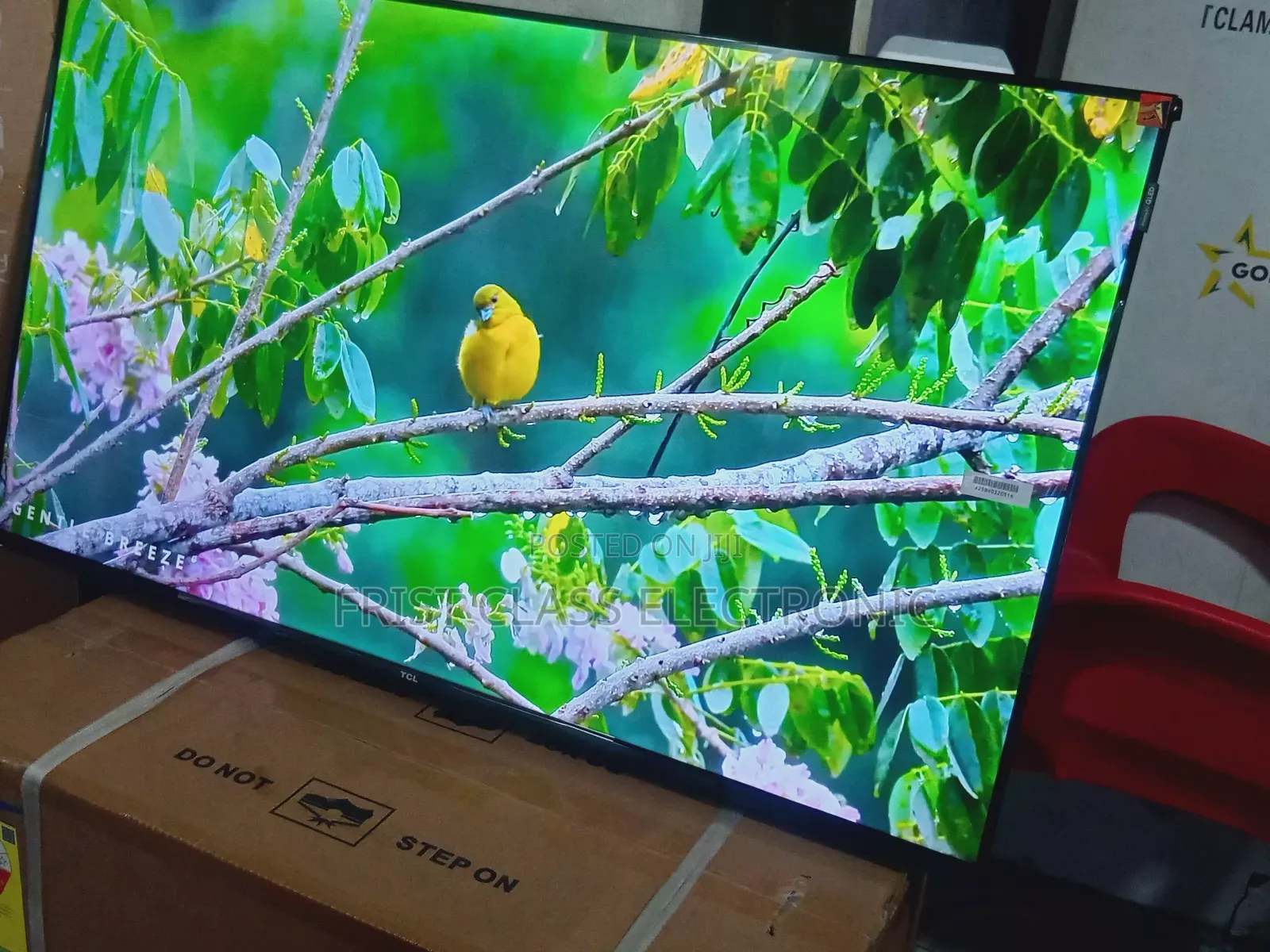 TCL 43-Inch Qled Smart Tv, Tv That Brings Bold Color Energy Home