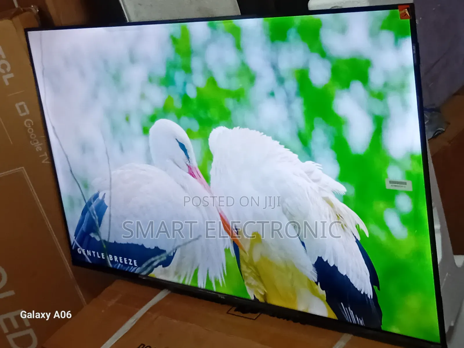 Transform Your Space With TCL 43-Inch Tv