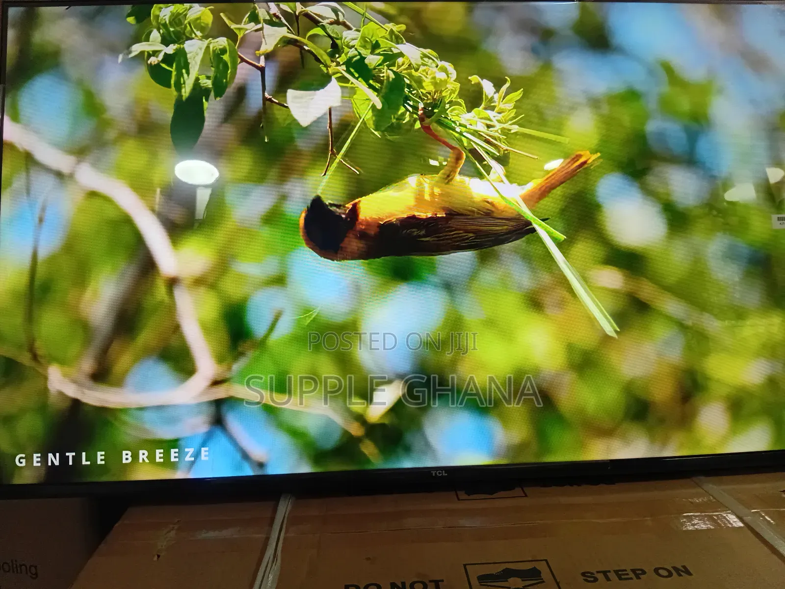 TCL 43” Tv – Perfect Size, Powerful Performance