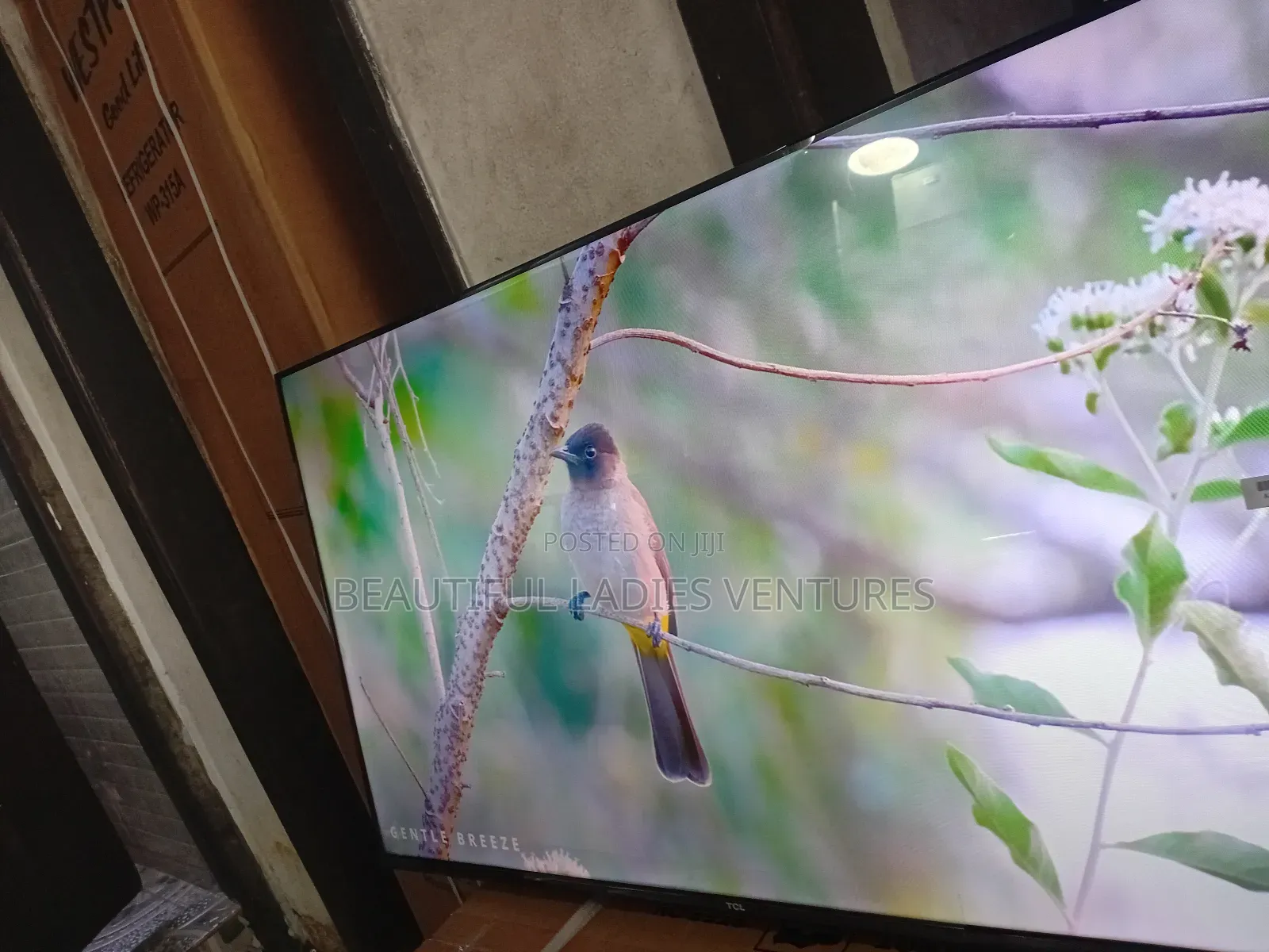 TCL 43” Smart Tv – Designed for Comfort Viewing
