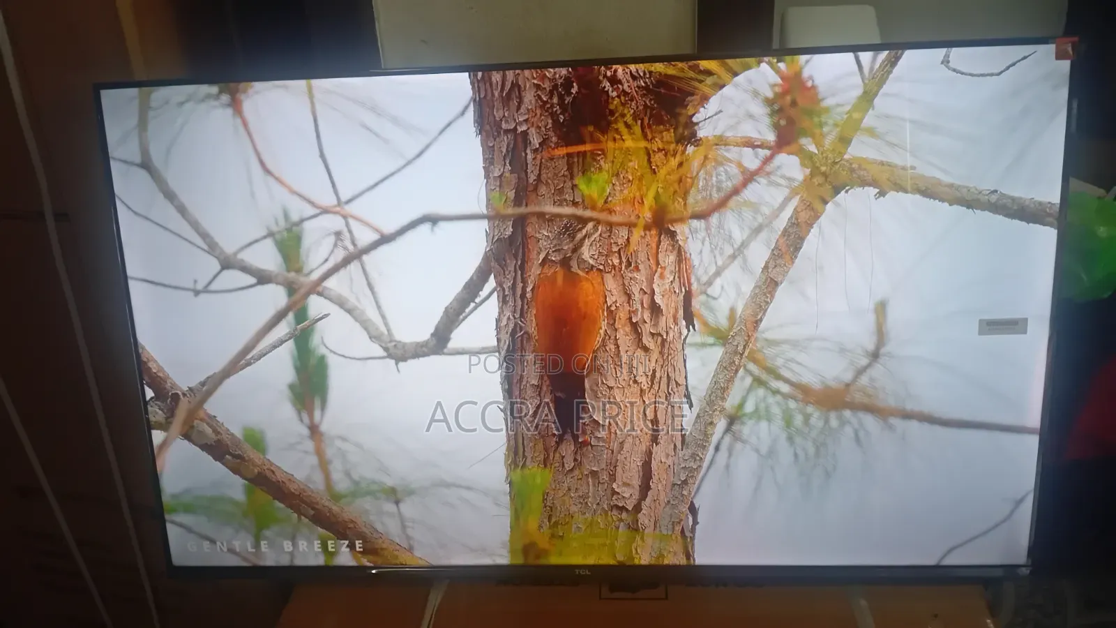Dream World Television 43inches TCL Smart Televisions