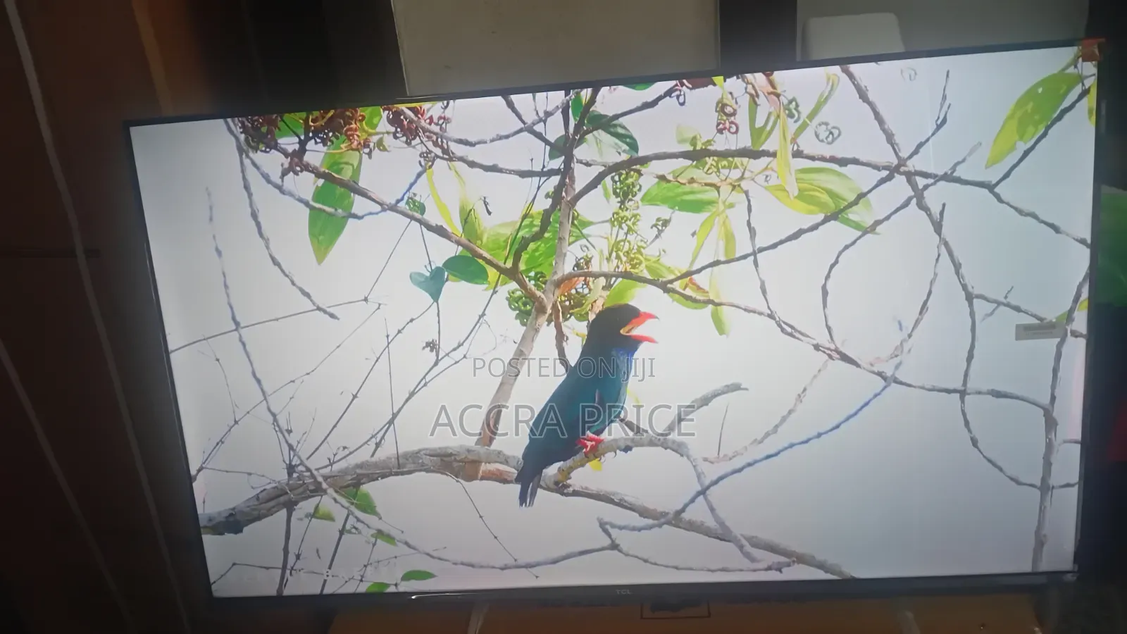 Dream World Television 43inches TCL Smart Televisions