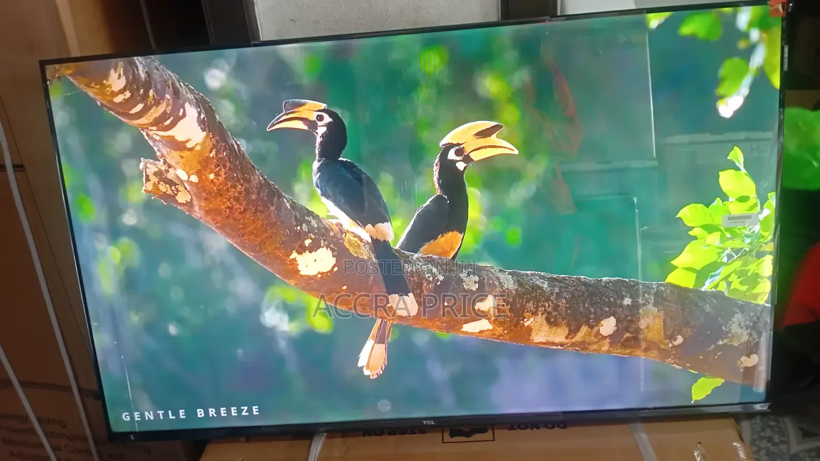 Living Dreams Television 43inches TCL Smart Televisions