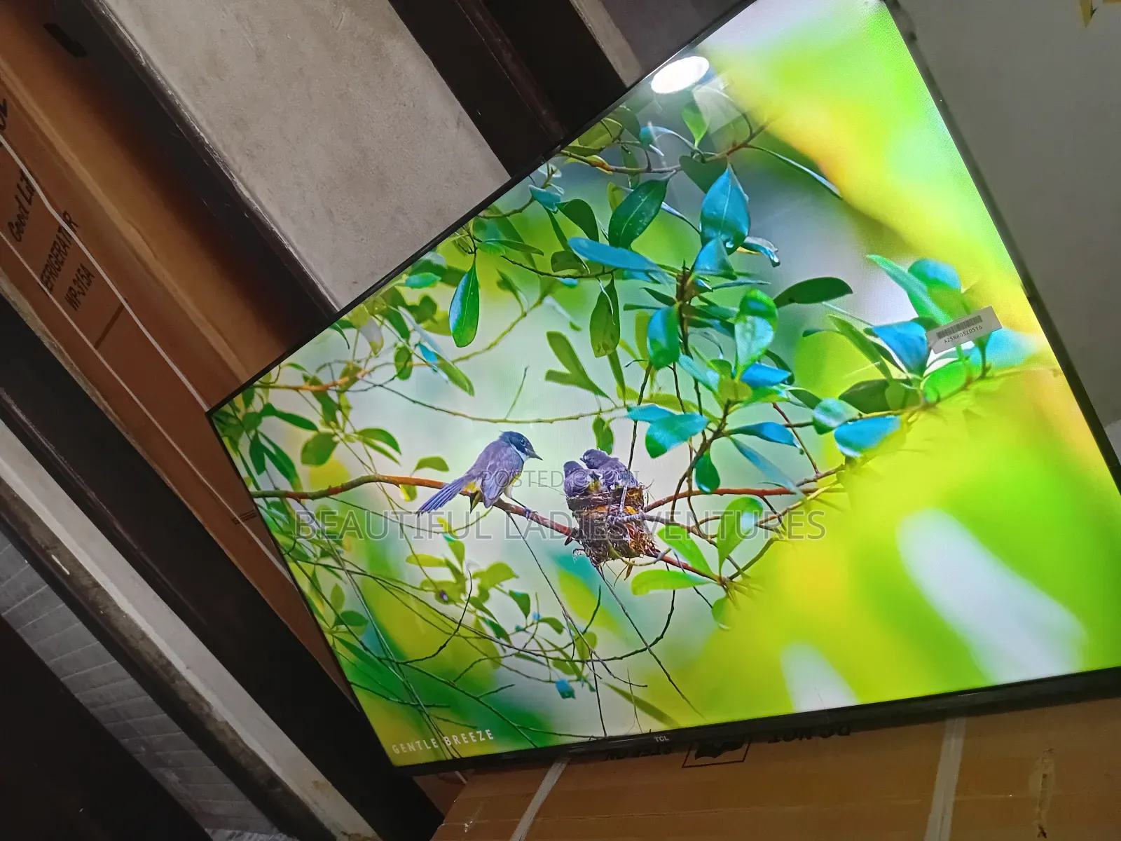 TCL 43” Smart Led Tv – The Smart Choice for Your Home
